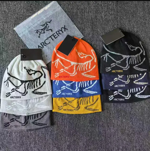 New arc teryx bird - arc'teryx, head